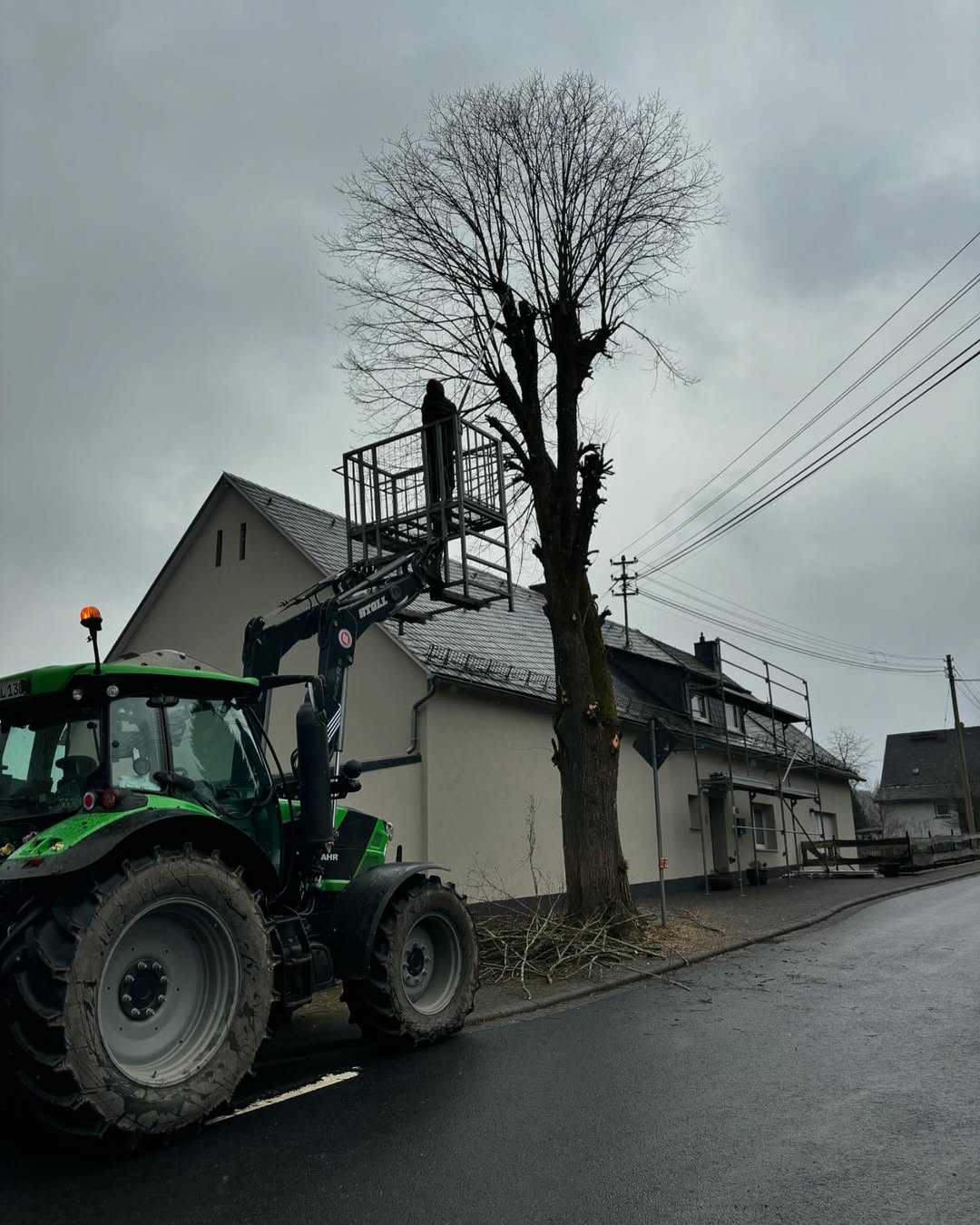 Freischnitt von Bewuchs